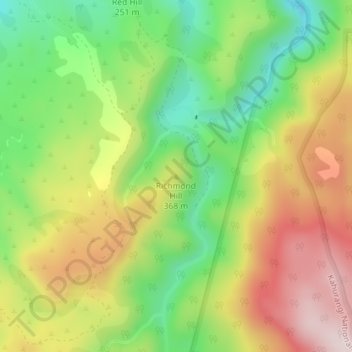 Richmond Hill topographic map, elevation, terrain