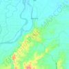 Flora topographic map, elevation, terrain