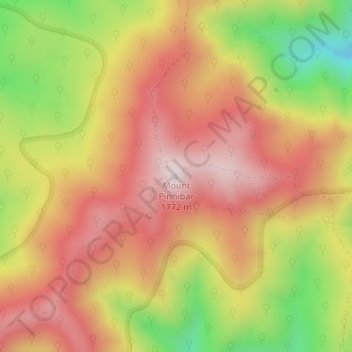 Mount Pinnibar topographic map, elevation, terrain