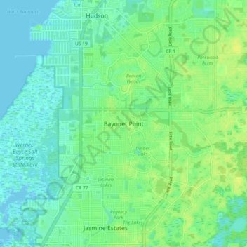 Bayonet Point topographic map, elevation, terrain