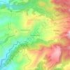 Canton Suisse topographic map, elevation, terrain