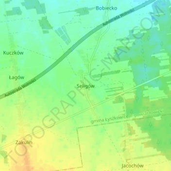 Seligów topographic map, elevation, terrain