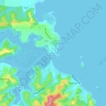 Waitangi topographic map, elevation, terrain