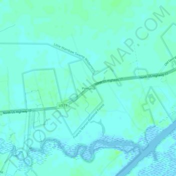 Pineland topographic map, elevation, terrain