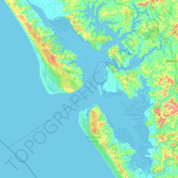 Kaipara Harbour topographic map, elevation, terrain