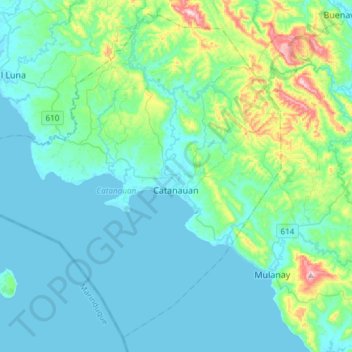 Catanauan topographic map, elevation, terrain