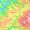 Reichenbach topographic map, elevation, terrain
