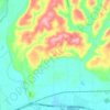 Satsop topographic map, elevation, terrain