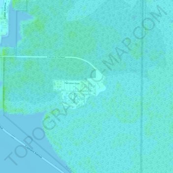 Plantation Island topographic map, elevation, terrain